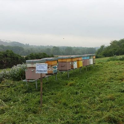 Postazione-Acacia